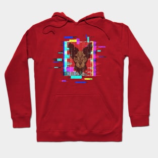 Pharaonic Cat In The Matrix Hoodie